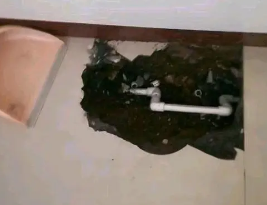 城固卫生间测漏水多少钱